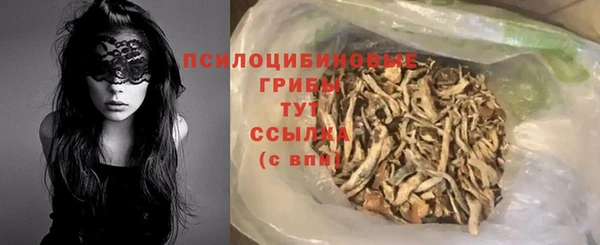 spice Кодинск