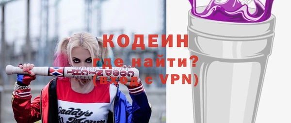 соль ск Дмитриев