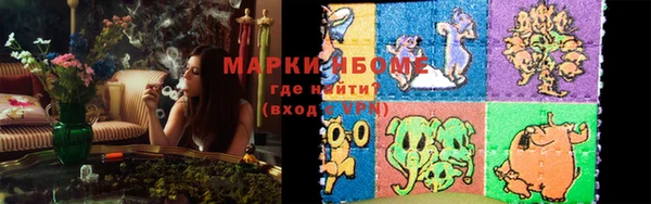 соль ск Дмитриев