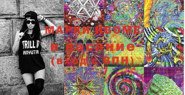 соль ск Дмитриев