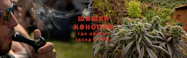 крисы Дмитров