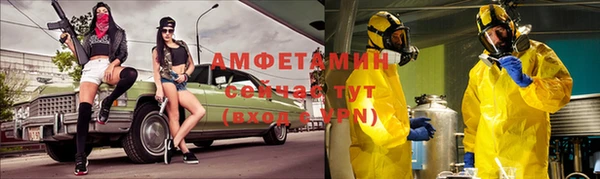 соль ск Дмитриев