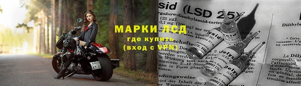 соль ск Дмитриев