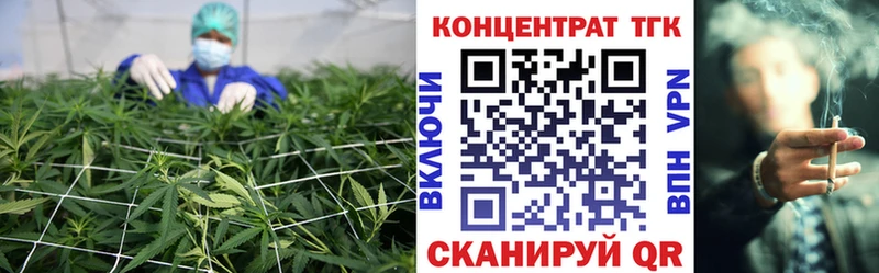 blacksprut вход  Россошь  ТГК концентрат  как найти наркотики 