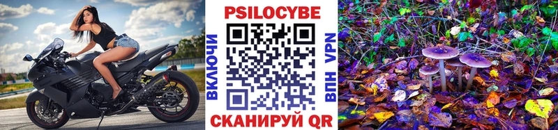 площадка какой сайт  где найти наркотики  Россошь  Галлюциногенные грибы мухоморы  гидра ссылки 