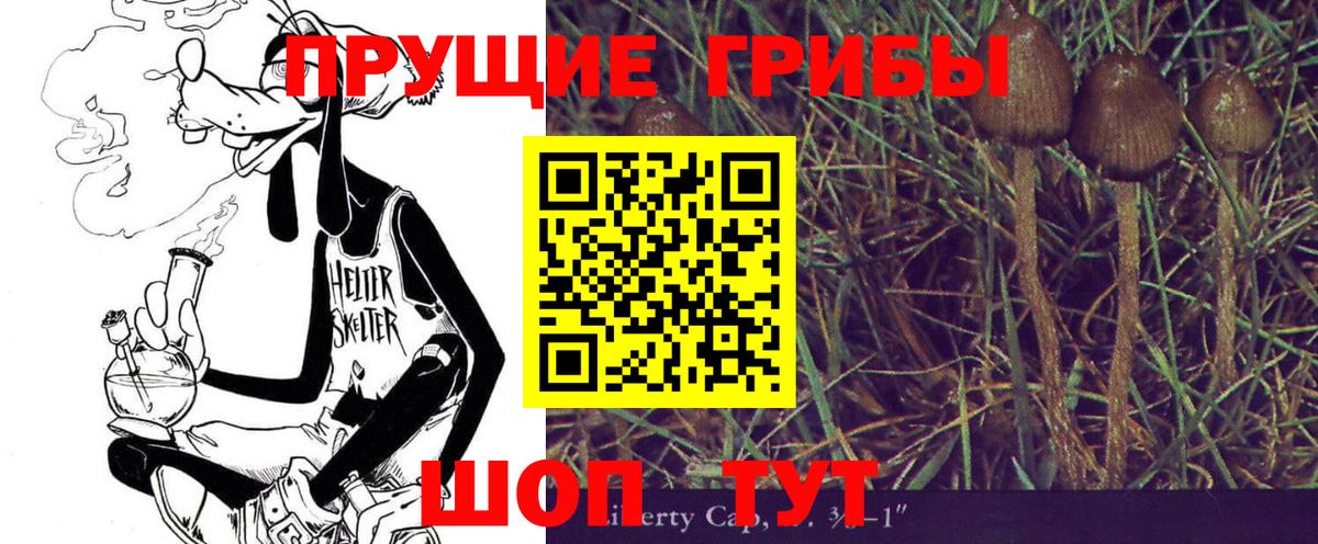 Псилоцибиновые грибы GOLDEN TEACHER Россошь