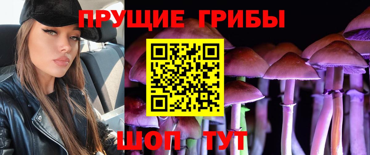 Россошь  Галлюциногенные грибы мухоморы  Псилоцибиновые грибы MAGIC MUSHROOMS  Вход с VPN 